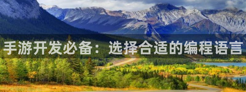 糖果派对大爆分：手游开发必备：选择合适的编程语言