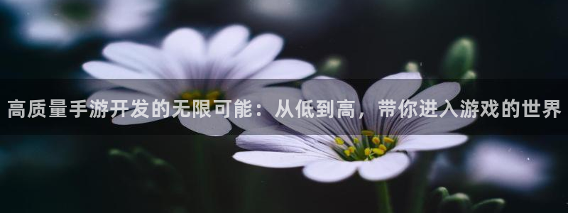 糖果派对8000倍：高质量手游开发的无限可能：从低到高，带你