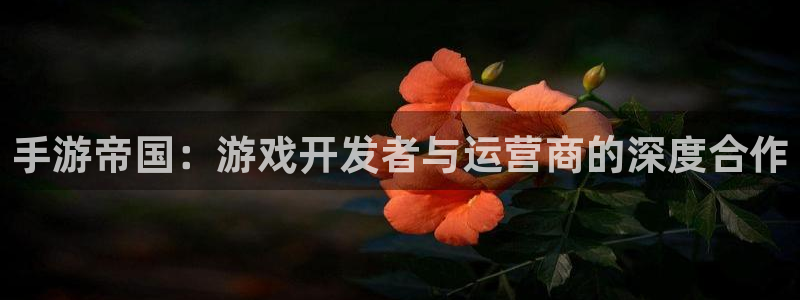 糖果派对攻略：手游帝国：游戏开发者与运营商的深度合作