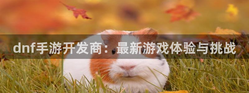 糖果派对澳门网站：dnf手游开发商：最新游戏体验与挑战