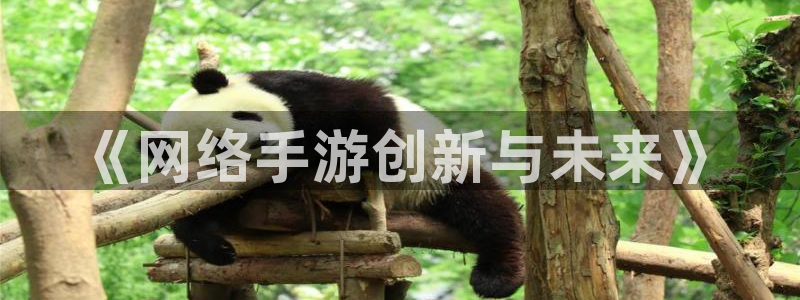 糖派对：《网络手游创新与未来》