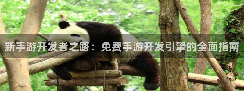 糖果派对8000倍：新手游开发者之路：免费手游开发引擎的全面