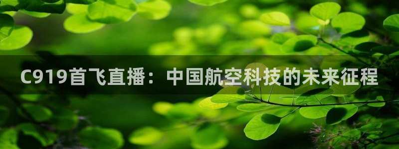 小班体育游戏玩球：C919首飞直播：中国航空科技的未来征程