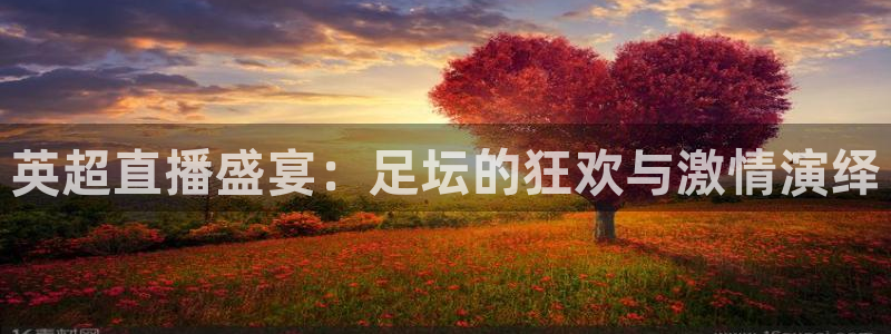玩球直播免费高清在线：英超直播盛宴：足坛的狂欢与激情演绎